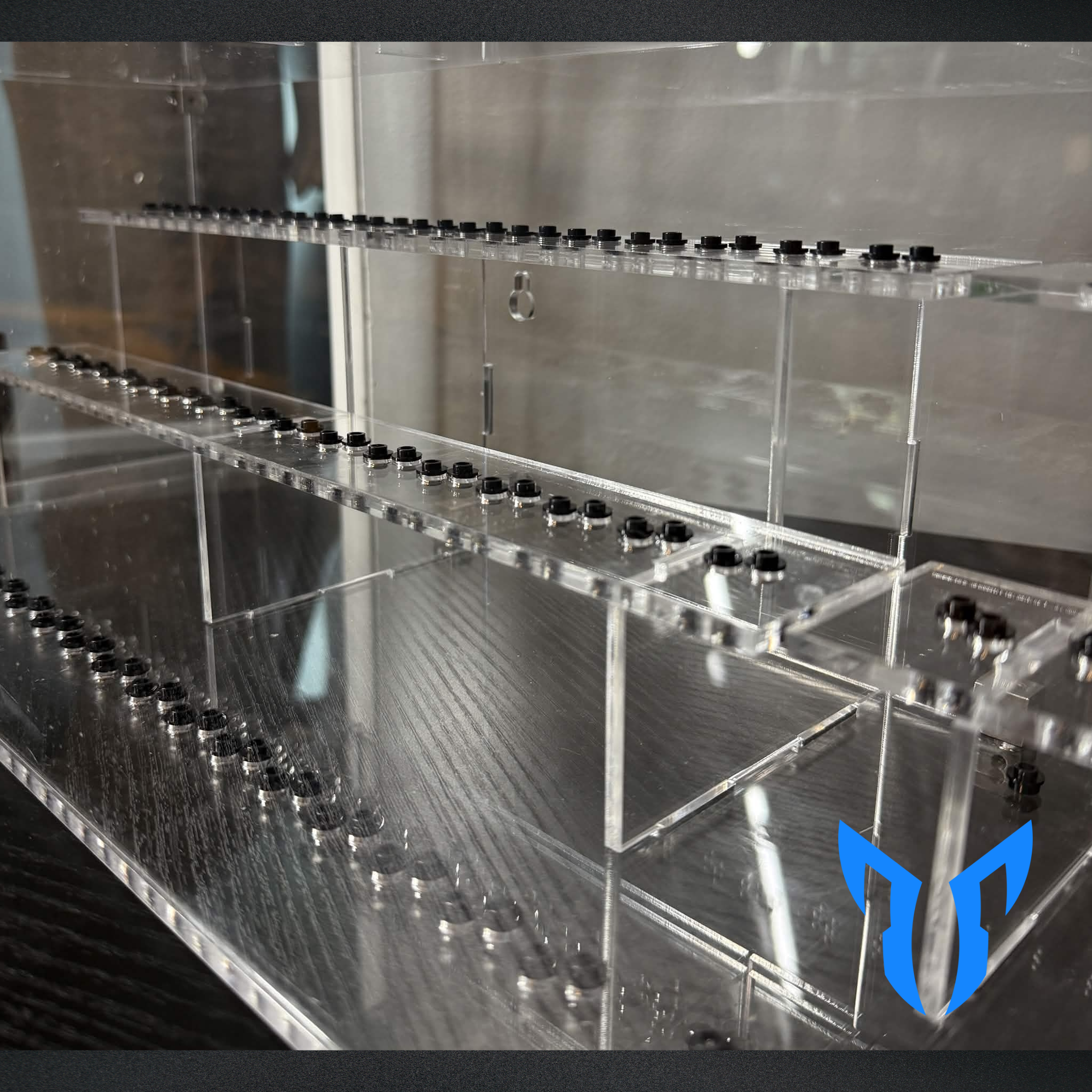 500 Figure Display Case