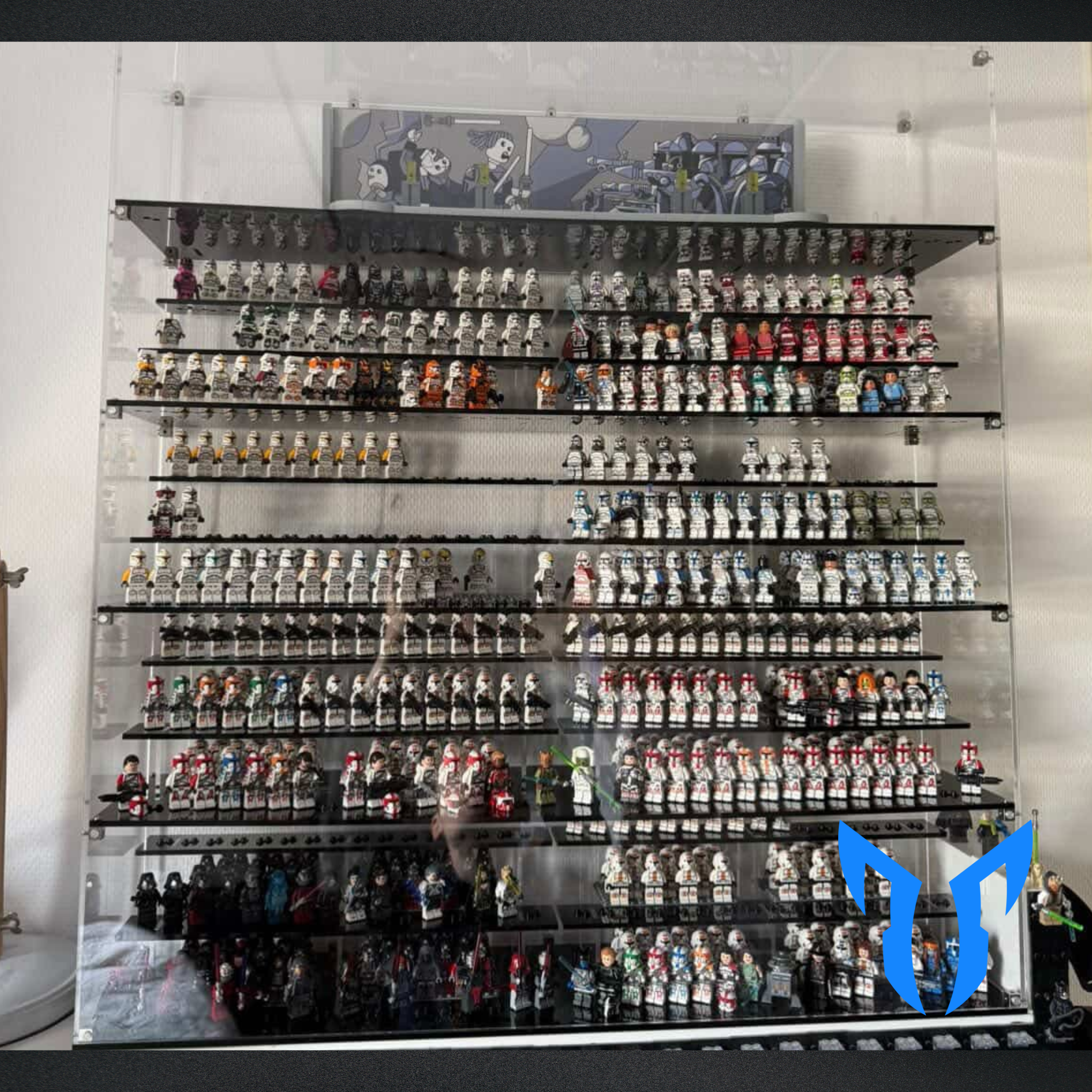 500 Figure Display Case