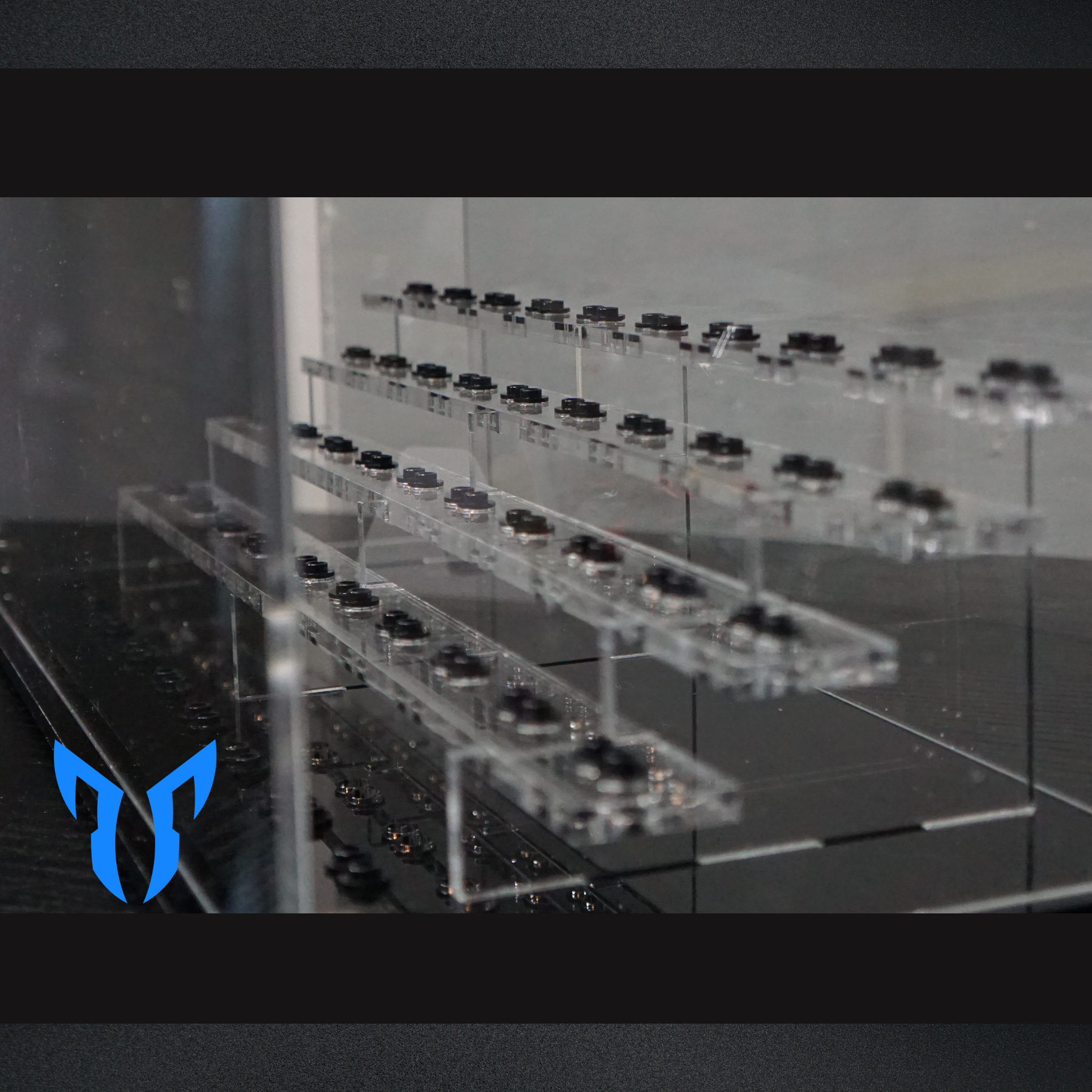 50 Figure Display Case