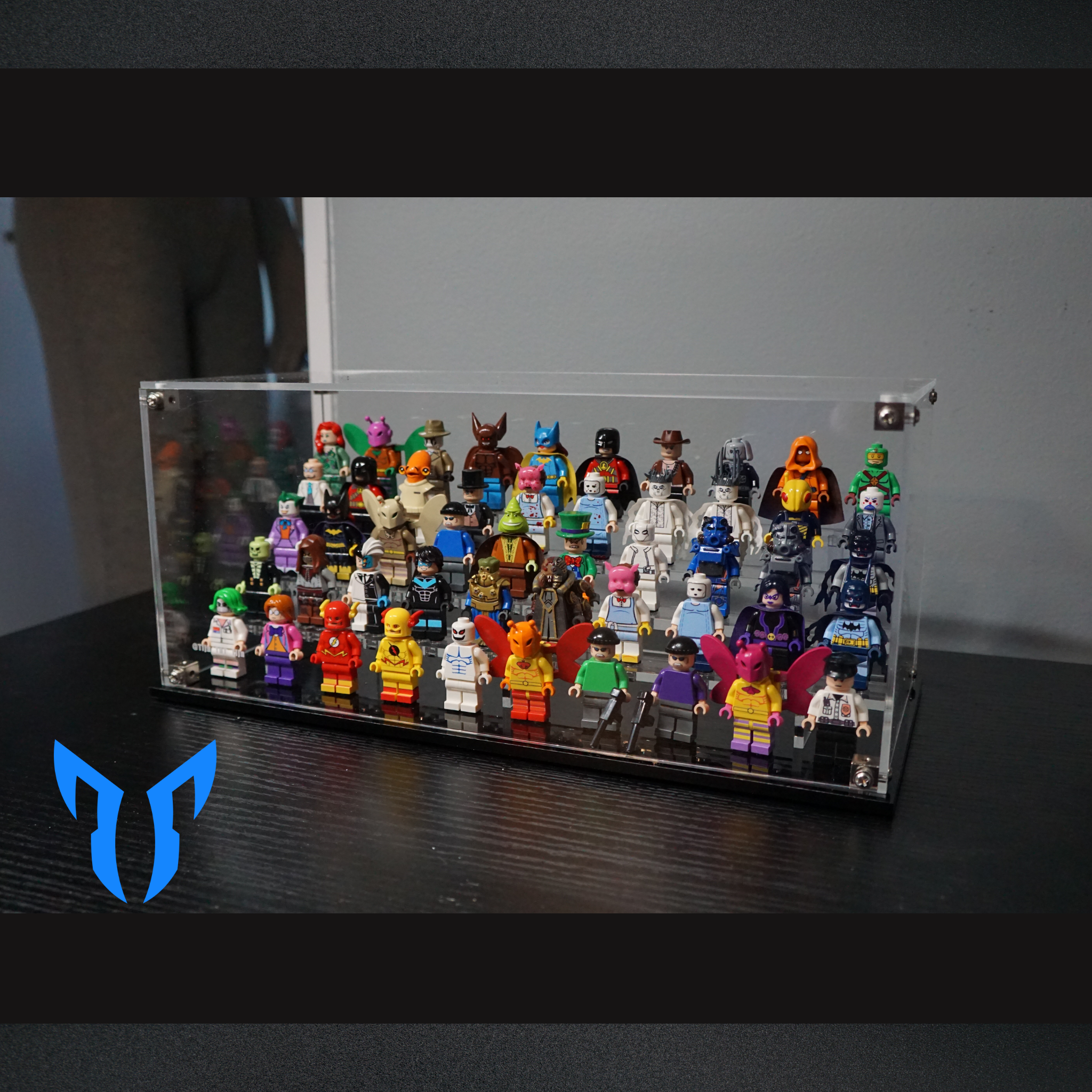50 Figure Display Case
