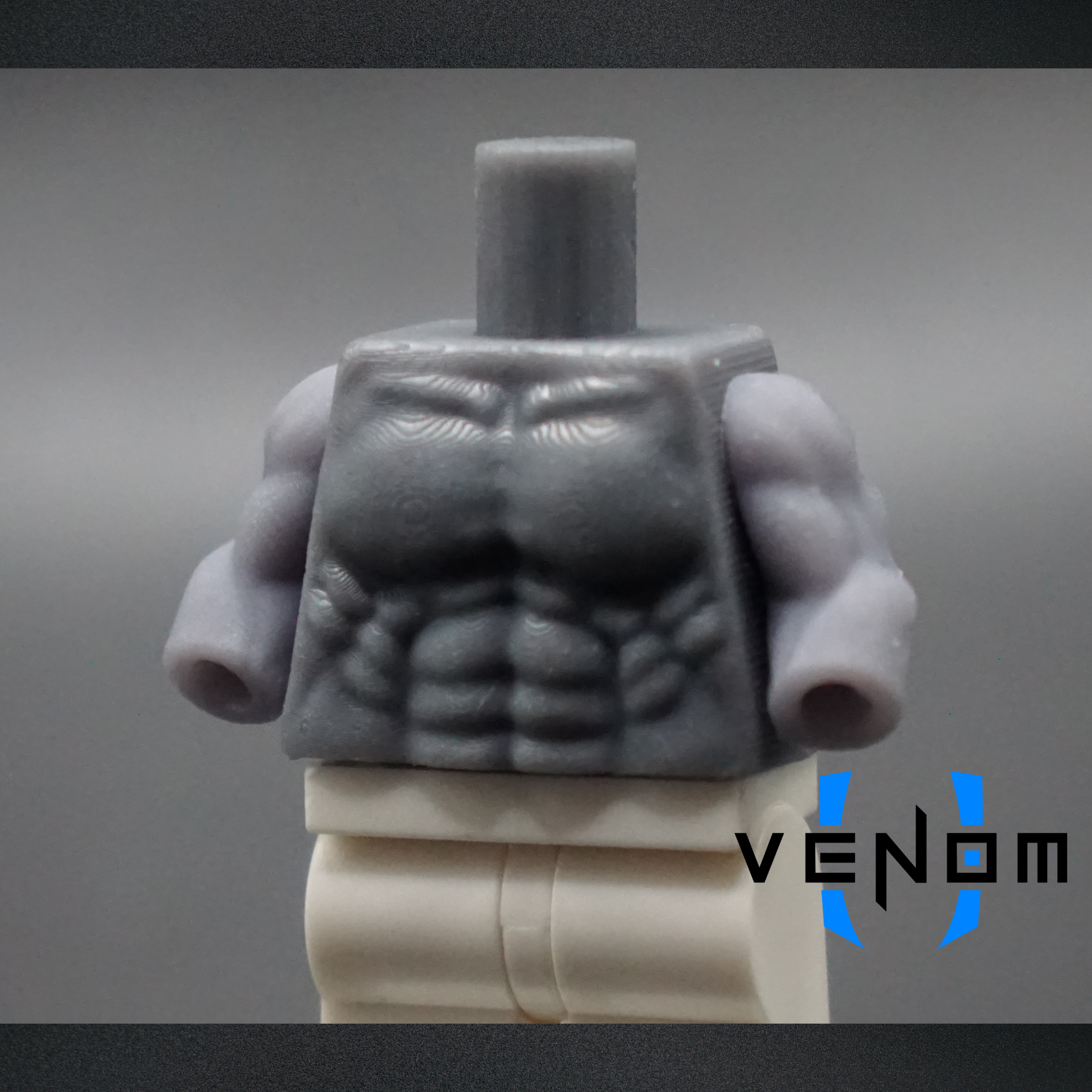 Male Muscular Torso