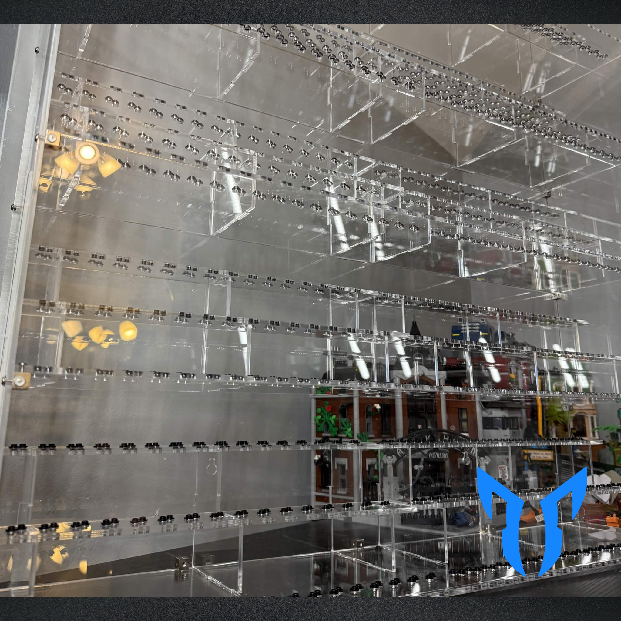 500 Figure Display Case