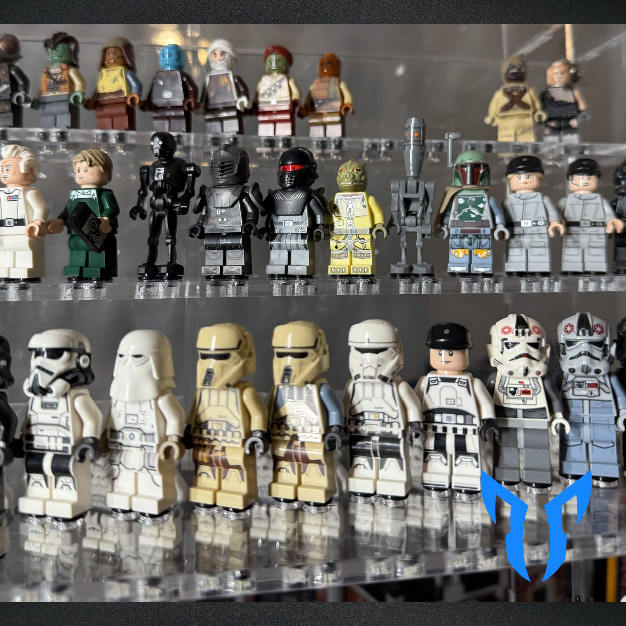 500 Figure Display Case