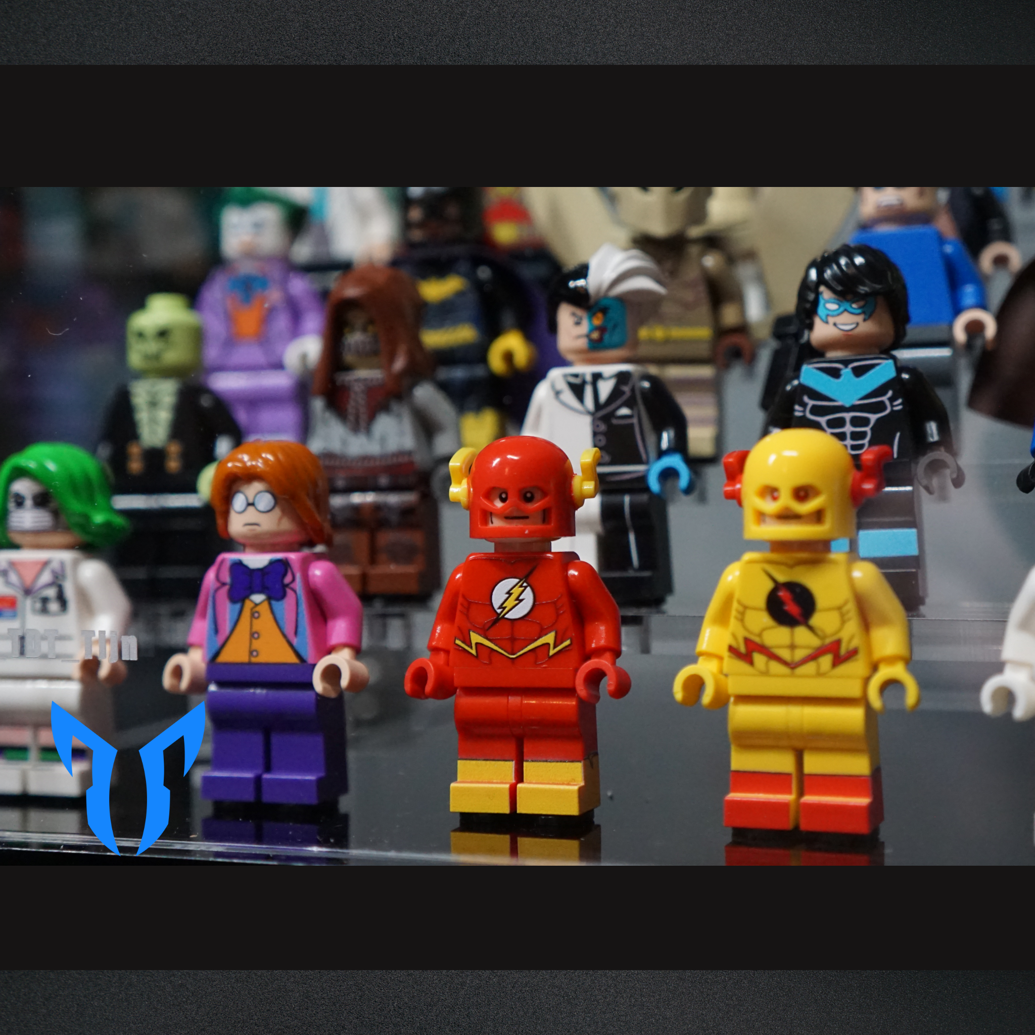 50 Figure Display Case