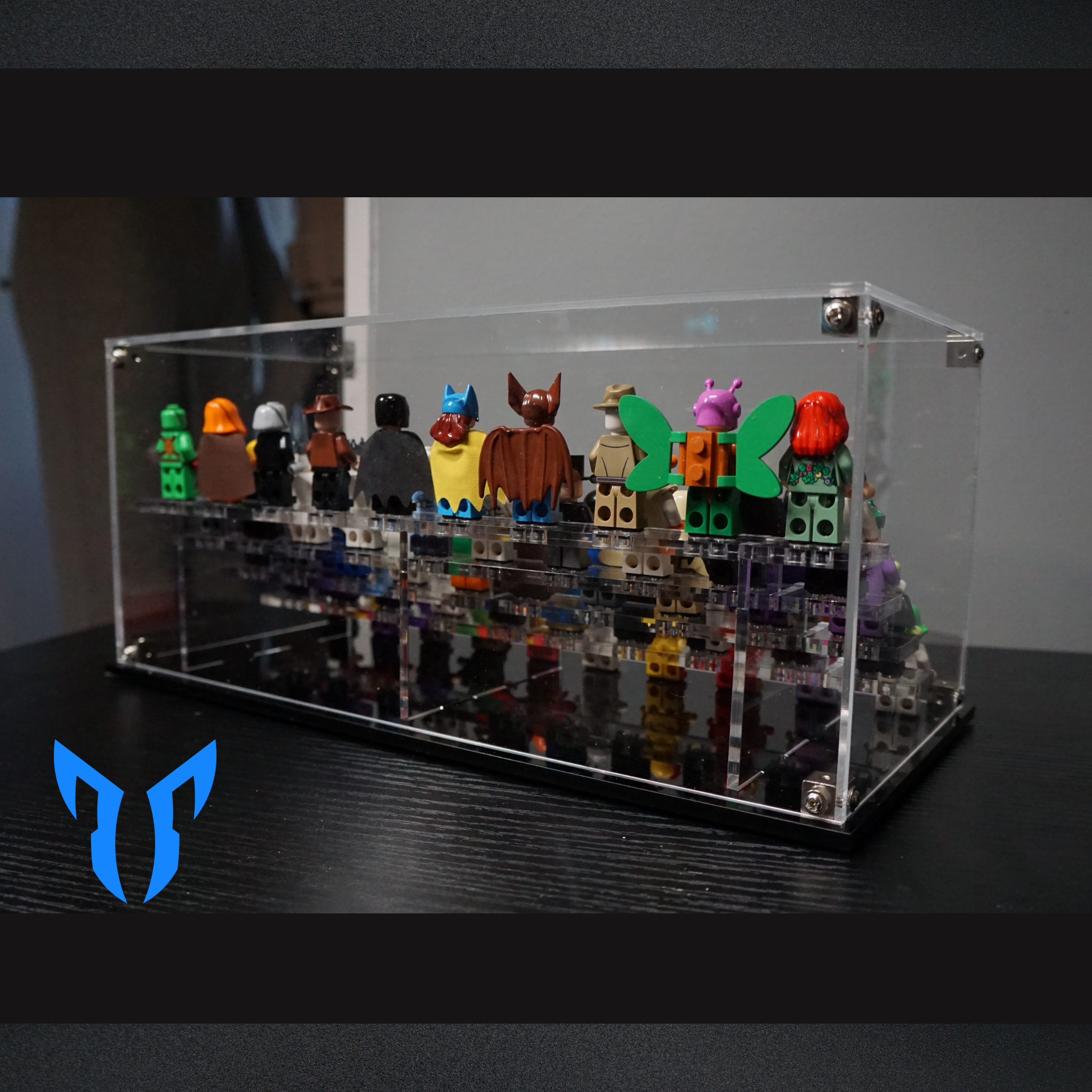50 Figure Display Case
